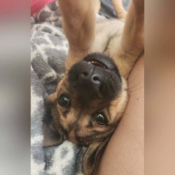 Meet your Posher, Marybeth - Picture 3 of 10